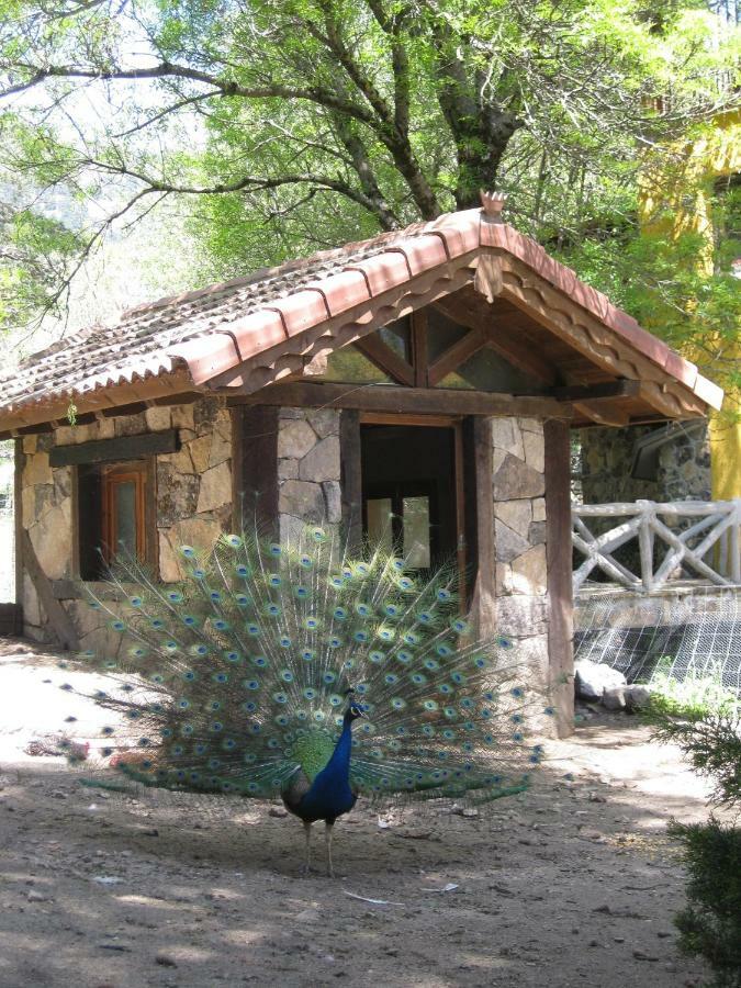 Hotel Rural Los Frutales Cercedilla Exteriör bild